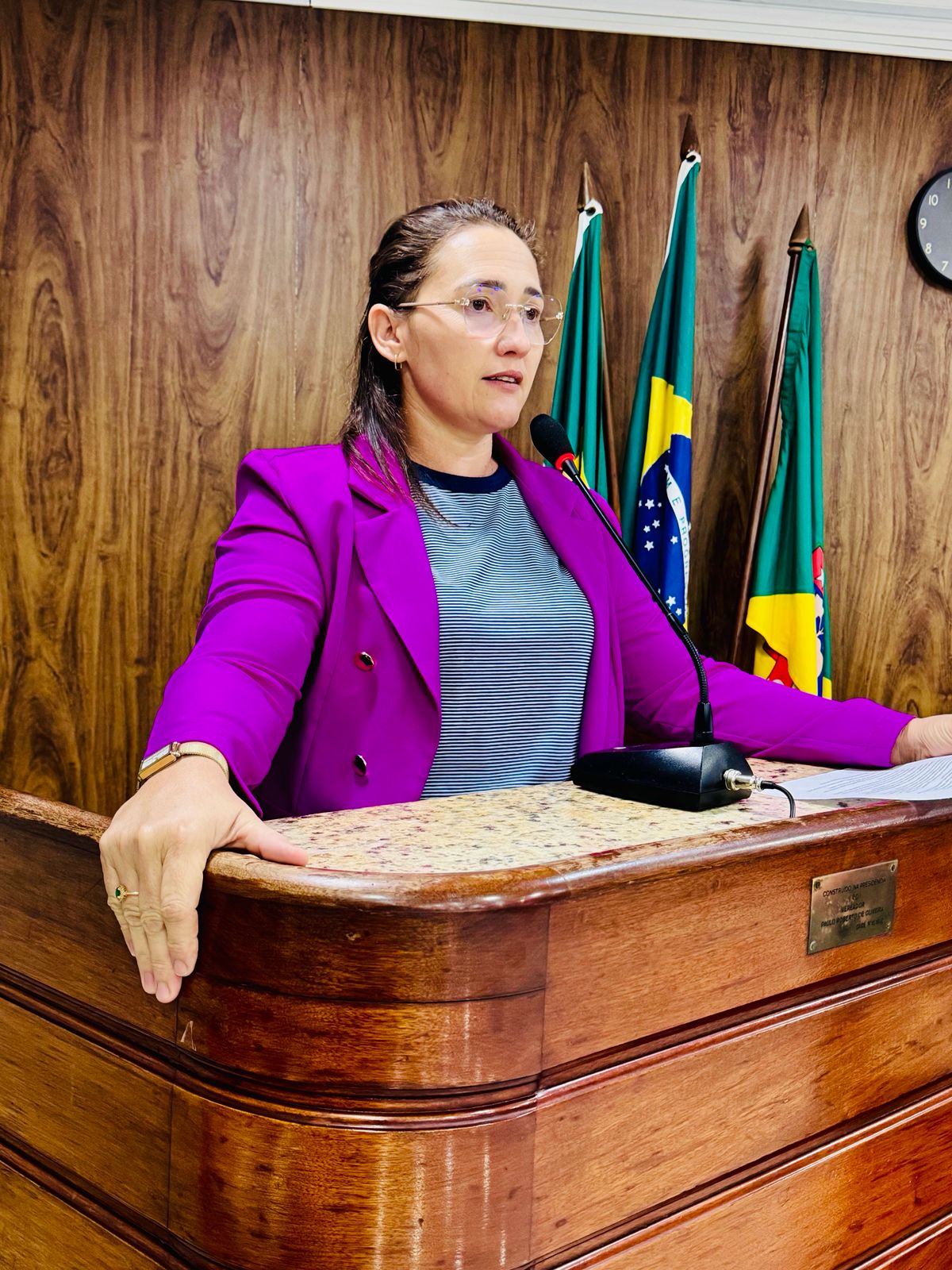 Ana Aline quer criação da Coordenação Municipal da Política do Cuidado em Caicó