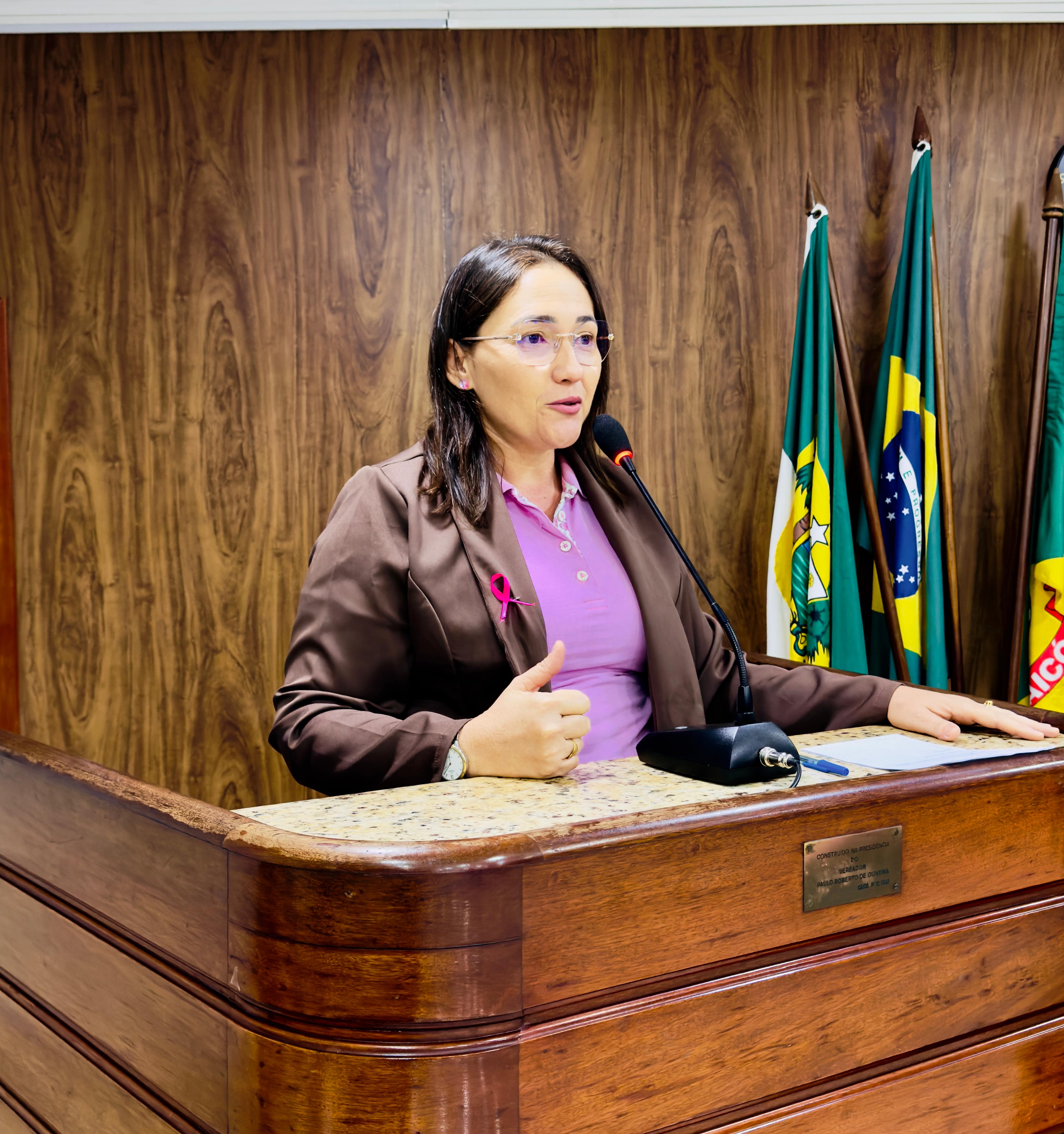 Vereadora Ana Aline solicita implantação de sala de informática na Creche Professora Maria Bernadete, no Distrito Palma